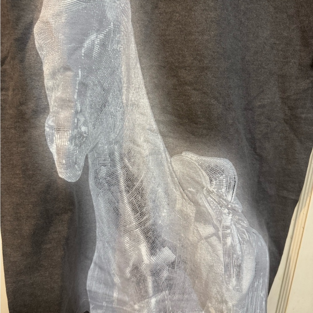 Beyonce Renaissance World Tour Shirt No Skips Horse 2023 Concert Small NWOT - Picture 2 of 4